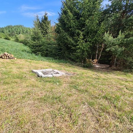 Pod Laskiem Krosnica  Bagian luar foto