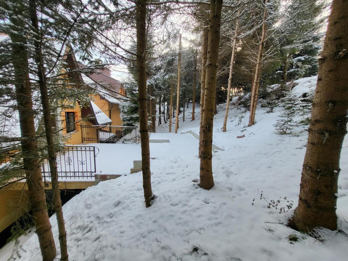 Pod Laskiem Krosnica  Bagian luar foto