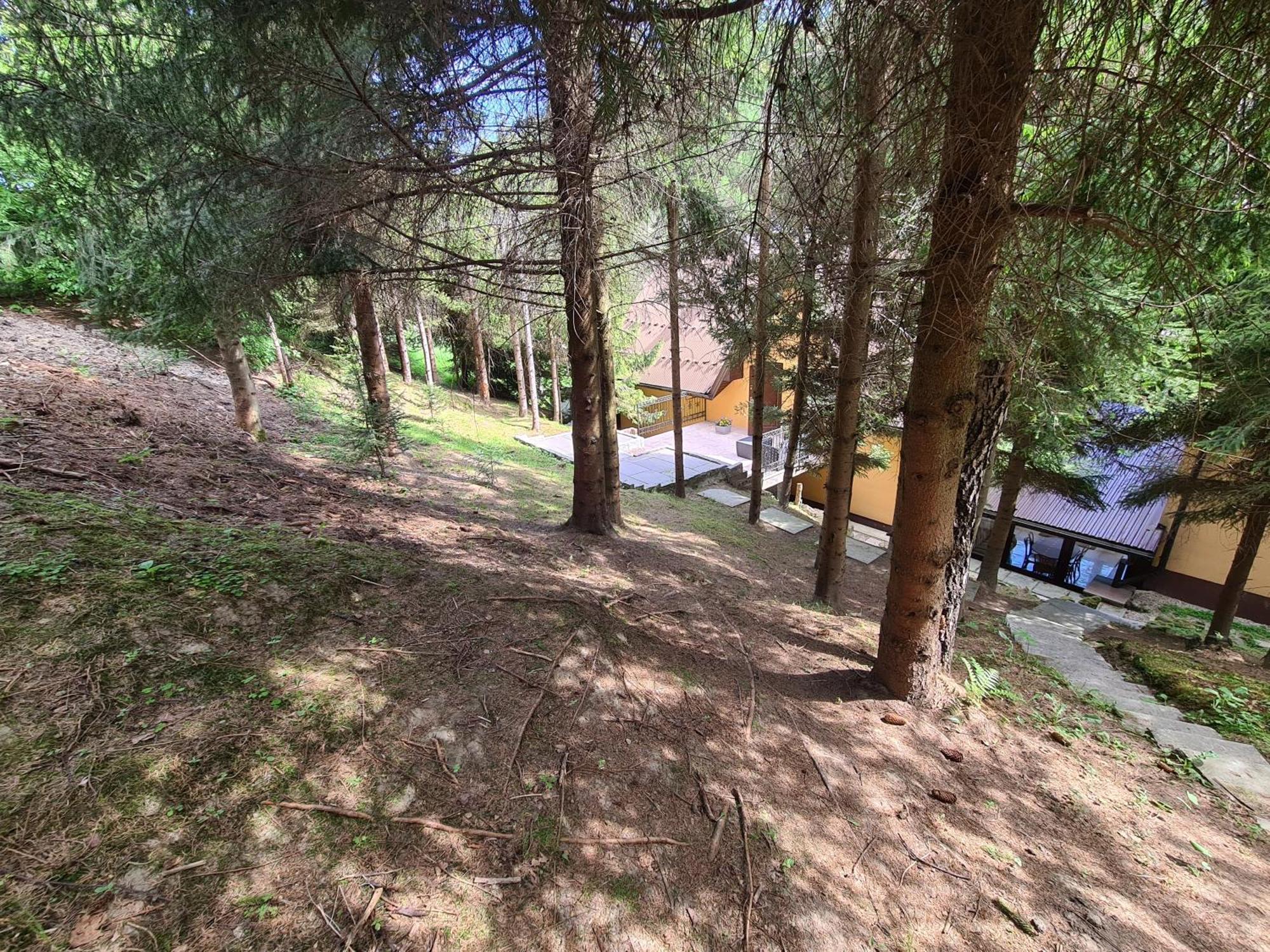 Pod Laskiem Krosnica  Bagian luar foto