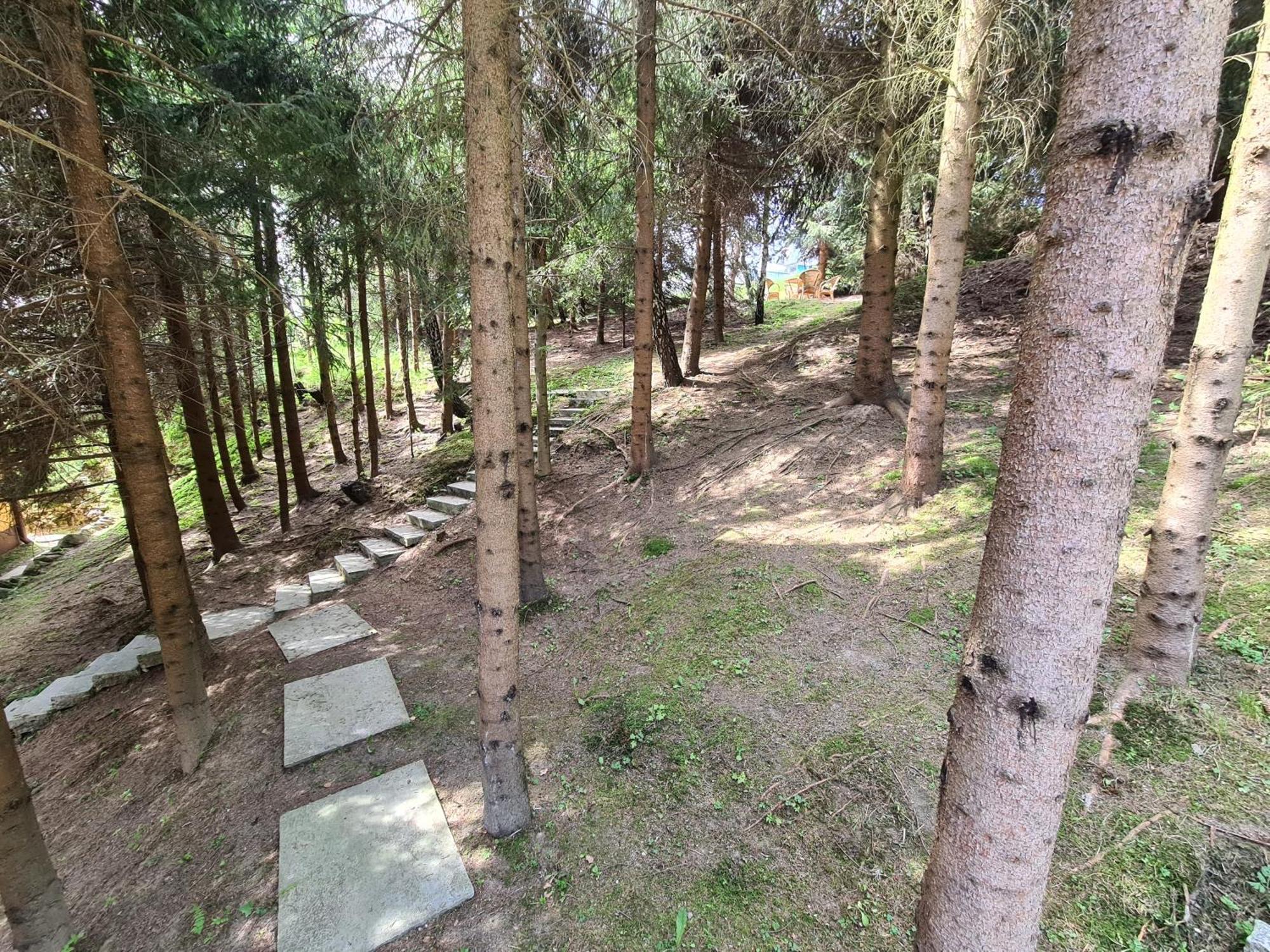 Pod Laskiem Krosnica  Bagian luar foto